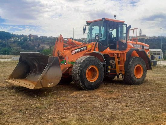 Palas cargadora DOOSAN DL300 L/AUX