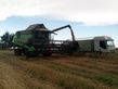 Cosechadora de Cereal - Deutz-Fahr - C9306 TSB 4wd