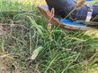 Riego - Bomech - farmer 15 m