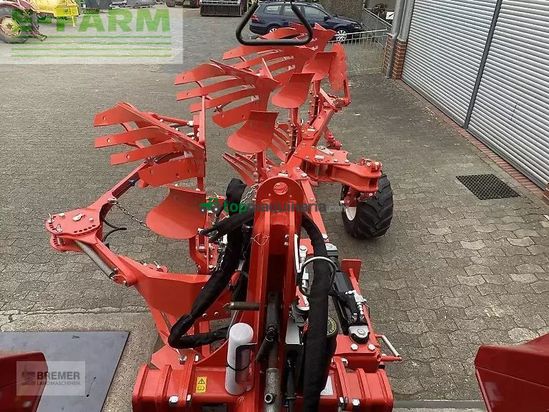 Arado - Maschio - unico m passo 4+