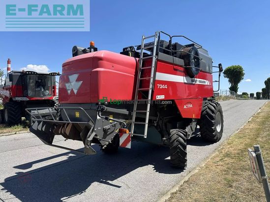 Cosechadora de Cereal - Massey Ferguson - mähdrescher mf 7344 activa