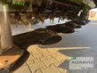 Cortacésped manual - Claas - disco 9200 c business
