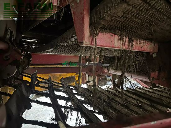 Cosechadora - arrancadora de patata - Grimme - se 150 - 60 ub