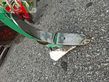 Cultivador - Regent - msg 300 mit stabwalze