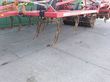 Cultivador - Horsch - tiger 4as