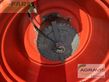 Tractor agrícola - Claas - xerion 3800 saddle trac SADDLE TRAC