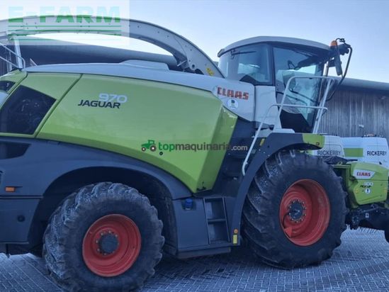 Cosechadora de Cereal - Claas - JAGUAR 970 4WD