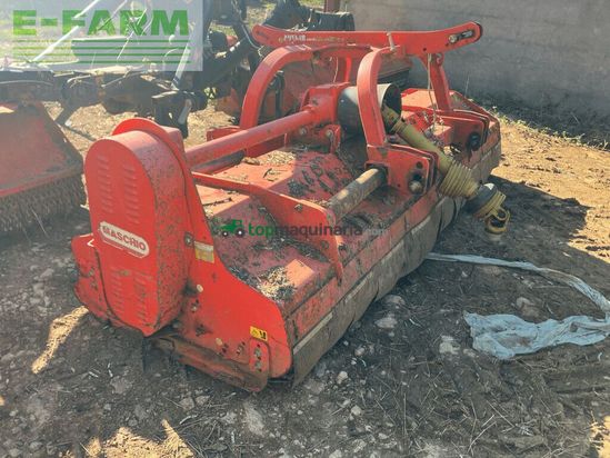 Cortacésped manual - Maschio - bufalo 300
