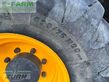 Minicargadora - Dieci - agri pivot t60 mit neuem motor