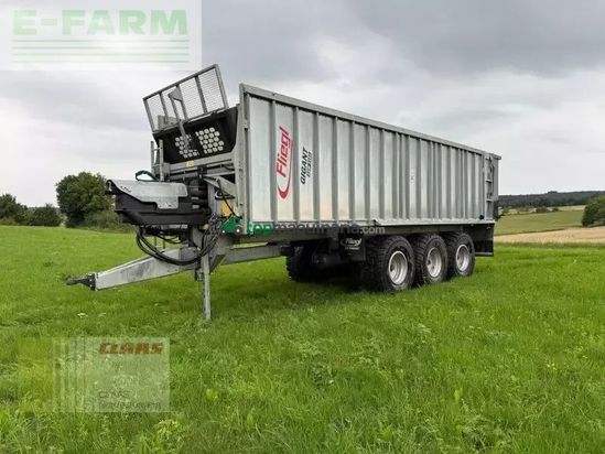 Cinta transportadora de forraje - Fliegl - gigant asw 3101