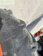 Cosechadora de Cereal - Claas - lexion 540