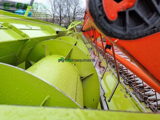 Cabezal - Claas - vario 560 - schneidwerk 5,6m