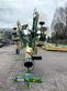 Henificador - Krone - swadro ts 620