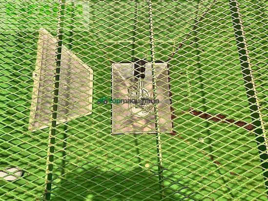 Esparcidor - Amazone - za-m 1500 profis - wiegestreuer