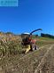 Cosechadora de Cereal - Hesston - fiatagri hesston braud