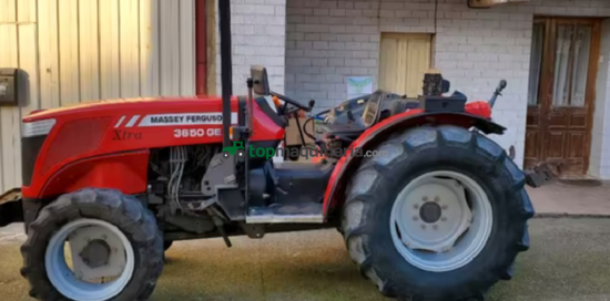 Mini tractor - Massey Ferguson - 3650 GE