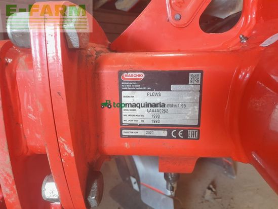 Arado - Maschio - unico m passo 4