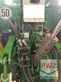Tractor agrícola - John Deere - 7930 premium