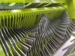 Empacadora gigant - Claas - quadrant 2200 rc tandem