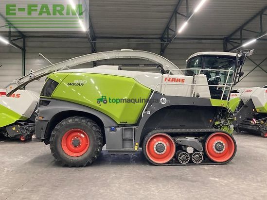 Cosechadora de Cereal - Claas - jaguar 990 tt