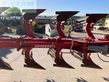 Arado - Overum - agrolux xrwt 5980 as