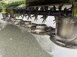 Cortacésped manual - Claas - disco 8400 c - reduziert!