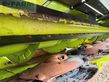 Cabezal - Claas - direct disc 600 p