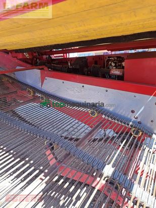 Cosechadora - arrancadora de patata - Grimme - se 260 ub