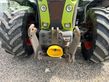 Tractor agrícola - Claas - arion 650