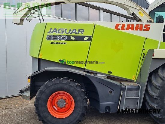 Cosechadora de Cereal - Claas - jaguar 830 profistar