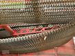 Cosechadora - arrancadora de patata - Grimme - evo 280 clod sep ub
