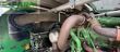 Cosechadora de Cereal - John Deere - 8600i