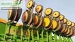 Sembradora monograno mecanica - Amazone - edx 9000-t