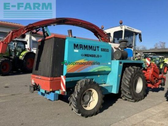 Cosechadora de Cereal - Mengele - 6800 mammut inkl. pickup