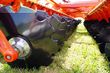 Grada de disco -  - carrier xl 625