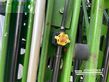 Atomizador - Amazone - ug 3000 power | 27 meter