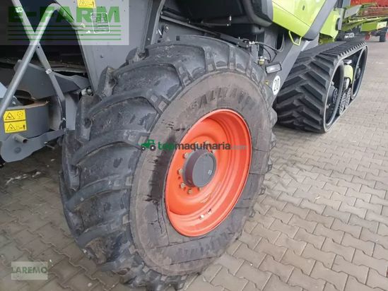 Cosechadora de Cereal - Claas - lexion 770 terratrac v 930