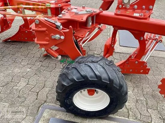 Arado - Maschio - unico m passo 4+