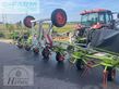 Henificador - Claas - volto 900 t