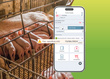 PIG´UP de Isagri PROGRAMA INFORMATICO PARA EL SECTOR PORCINO