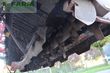 Cosechadora - arrancadora de patata - Grimme - varitron 470 - he