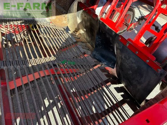 Cosechadora - arrancadora de patata - Grimme - se 260 ub