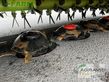 Cortacésped manual - Claas - disco 9200 c contour