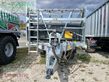 Cinta transportadora de forraje - Fliegl - asw 140 gigant tandem