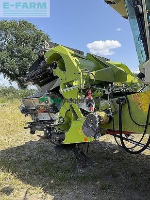 Cabezal - Claas - corio 875 fc conspeed