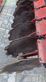 Grada de disco - Knoche - dim-s30 rp