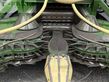 Cosechadora de Cereal - Krone - big x 1100
