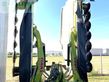 Cortacésped manual - Claas - disco 8550 plus
