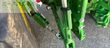 Tractor agrícola - John Deere - 6195R