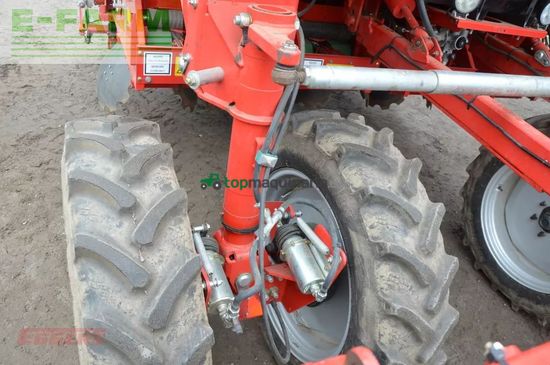 Cosechadora - arrancadora de patata - Grimme - gb 430
